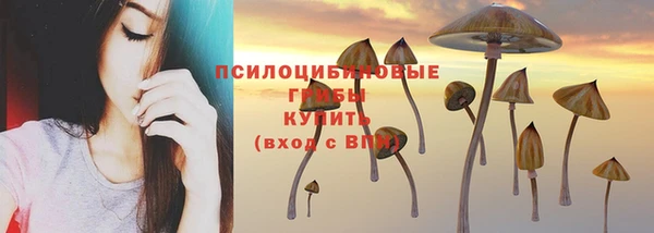 крисы Алексеевка